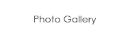 Photo Gallery